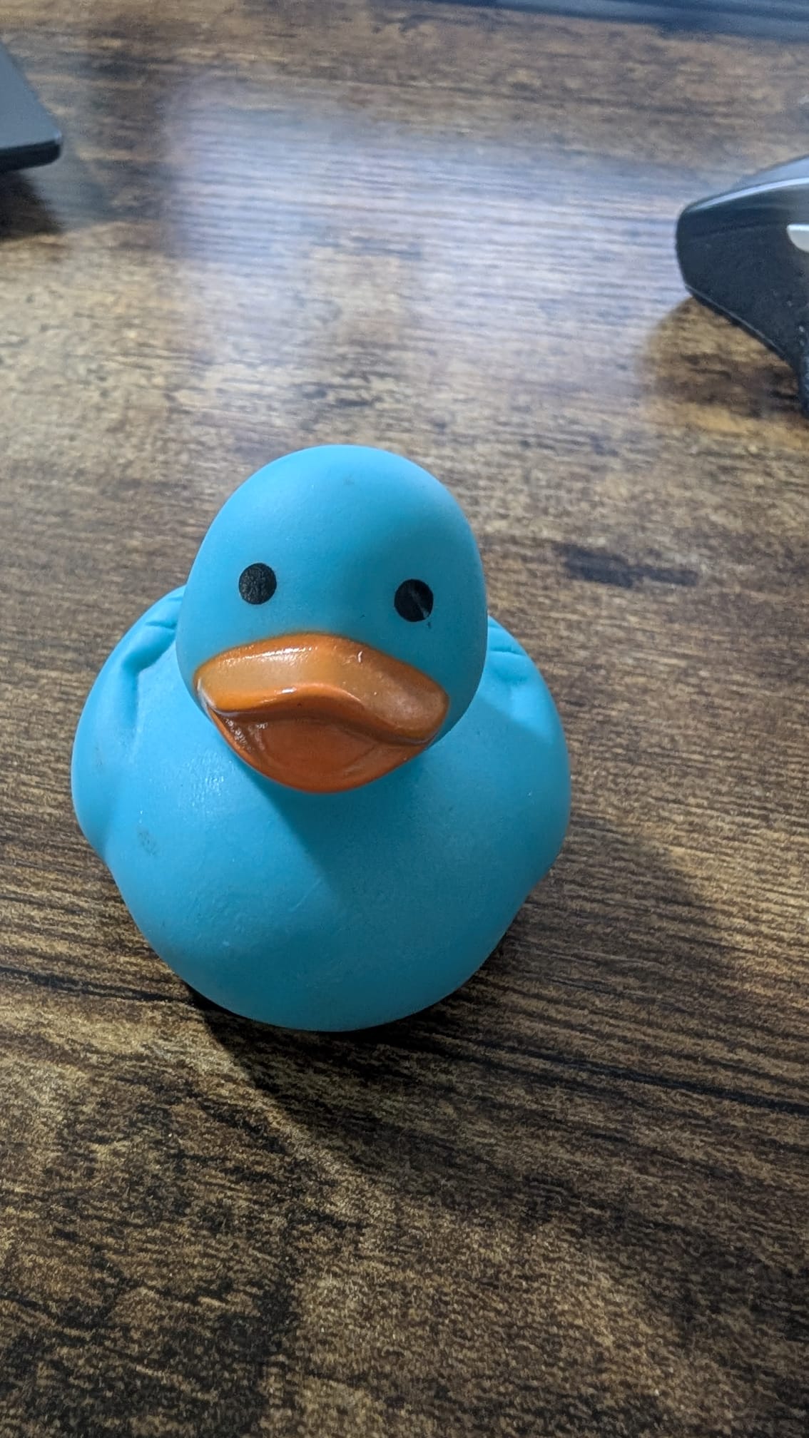 put a description here or you will lose grades